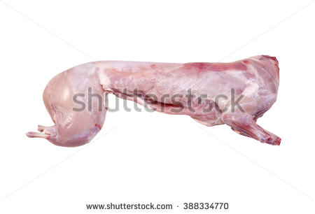 Picture of the skinned, headless body of a rabbit. The meat is raw.