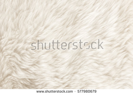 soft white fur