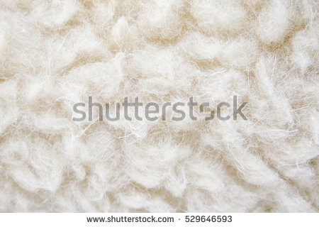 currly white wool